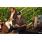 rematepasion15-12 158