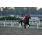 HARAS ARGENTINOS6.jpg