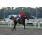 HARAS ARGENTINOS7.jpg