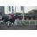 HARAS ARGENTINOS13.jpg