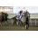 Leahurst (IRE)