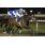 Roman\\\'s Run (USA)