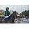 ANT 23-02-2010