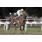 KING OF SALE10
