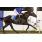 Shirocco Breeze (Gb)