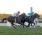 11Âº 6 Fasteed Empero