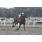 miss daring5
