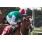 grancoco 027