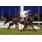 13Âº 8 Charles King (12)