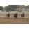 saratoga city 08-04 1