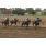 saratoga city 08-04 3.JPG