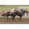 saratoga city 08-04 7.JPG