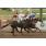 saratoga city 08-04 9.JPG
