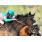 Zenyatta y Mike Smith.jpg