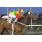05Âº 2 Maipo Royale (1)
