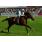 FRANKEL OK