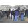 muestra firmamento 072