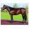 Ghostzapper (padre de Stately Victor)