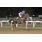 MR. DOMICIANO‏13
