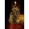 images7