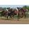 08Âº 7 Guanacaste (2)