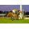 Scarlatt 04-10