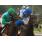 DOÃ‘A DOLORES - HANDICAP KEENLY 