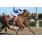 07Âº 1 Rampa Catch (4)