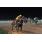 CSC_0057