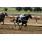 establecido4 4-5.JPG