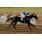 establecido5 4-5.JPG
