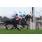 ORPEN FAIN‏9