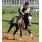Paddy O\'Prado