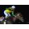 GRAN PREMIO ESTRELLAS PRINT 