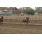 GRAN INVASOR2
