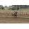 GRAN INVASOR3