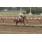 GRAN INVASOR4