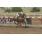 GRAN INVASOR5