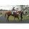 GRAN INVASOR8