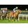 3Âº Gol de Placa (4)