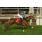 TAPA  Gol de Placa (9)