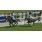 Goldikova.jpg