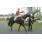 HARAS ESTANCIA LA JOSEFINA