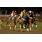 GRAN INVASOR5