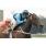 FEELING GREAT - HANDICAP CIPAYO