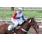 THE BEST VAN - CLASICO JOCKEY CLUB DE LA PROVINCIA DE BUENOS AIRES (G
