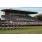 FOTO TRIBUNA