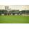 CSC_1023 (30)