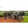 CSC_1023 (41)