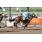 BALDISSERA - 